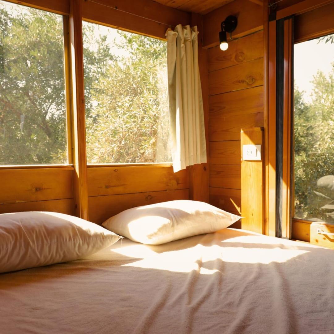 Northern Lake Lodge Izbat Ilyas 외부 사진